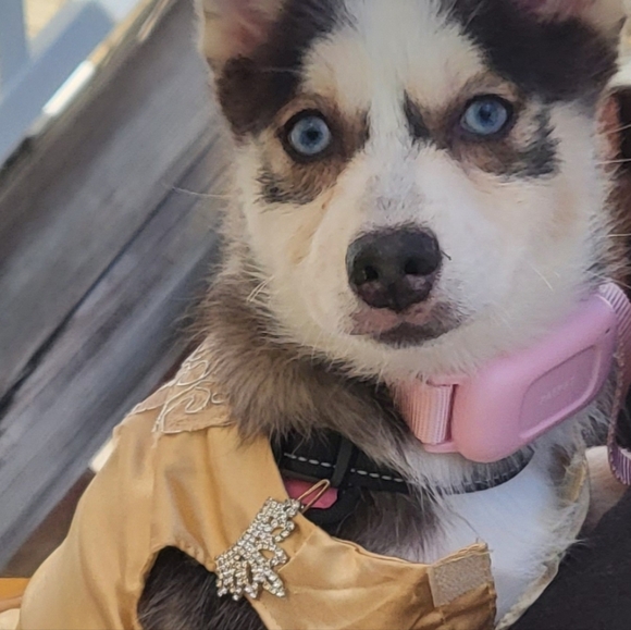 Meet your Posher, Andy - Picture 2 of 3